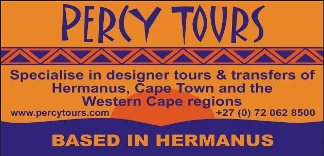 Percy Tours, Transfers, Activities in Hermanus