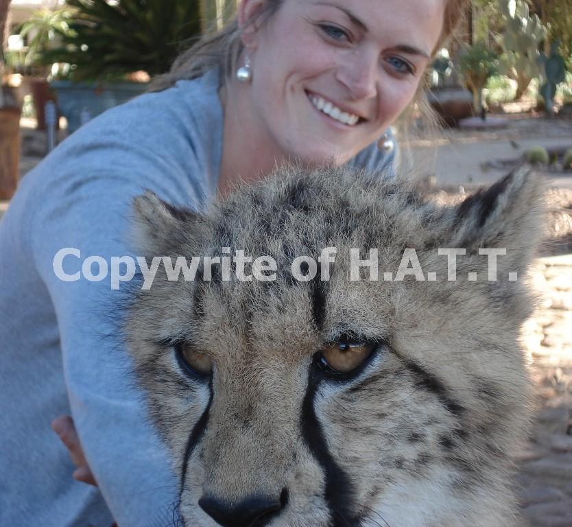 Safari with H.A.T.T., Hermanus