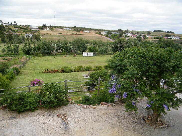 Gunner's Lodge | Napier Accommodation