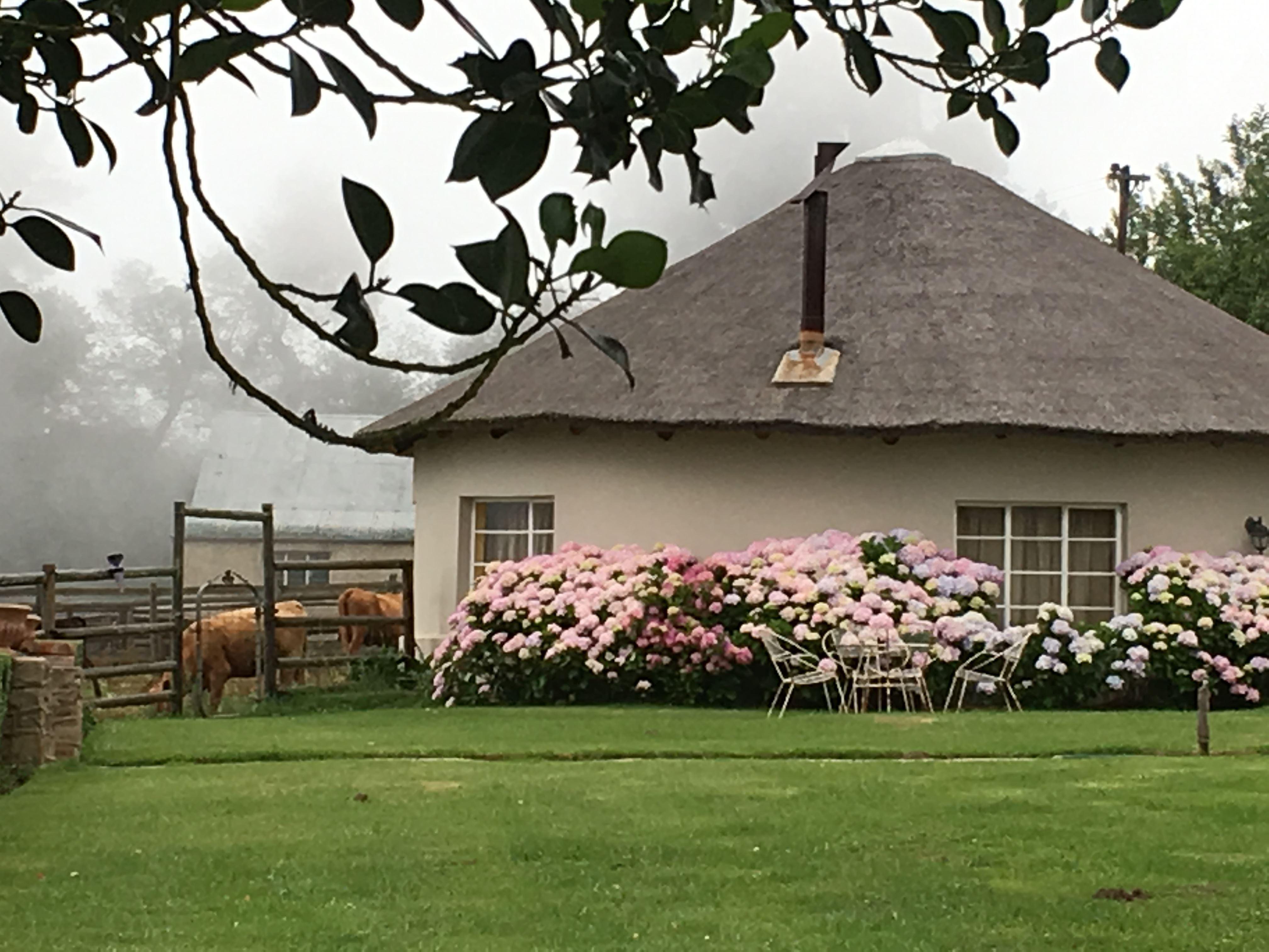 Glenfinlas Guest Cottage | Cathcart Self-catering