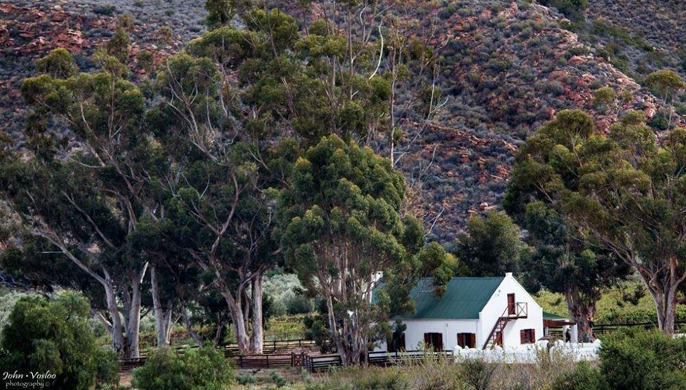 Kredouw Olive Estate | Accommodation Prince Albert