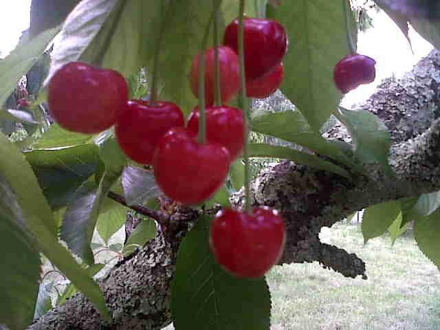 Highlands Guest House | Accommodation Zastron