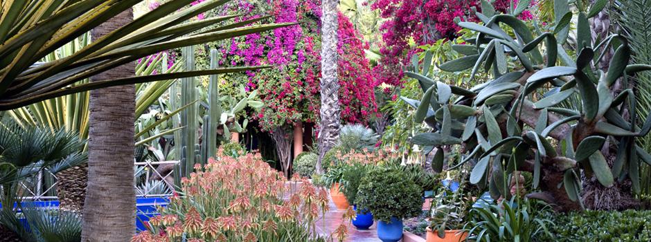 Jardin Majorelle