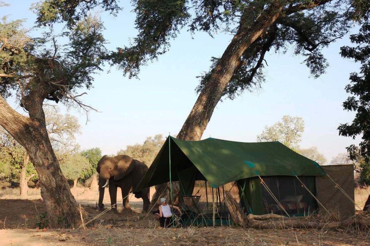 Tailormade Safaris- Mana Pools | Mana Pools National Park Accommodation
