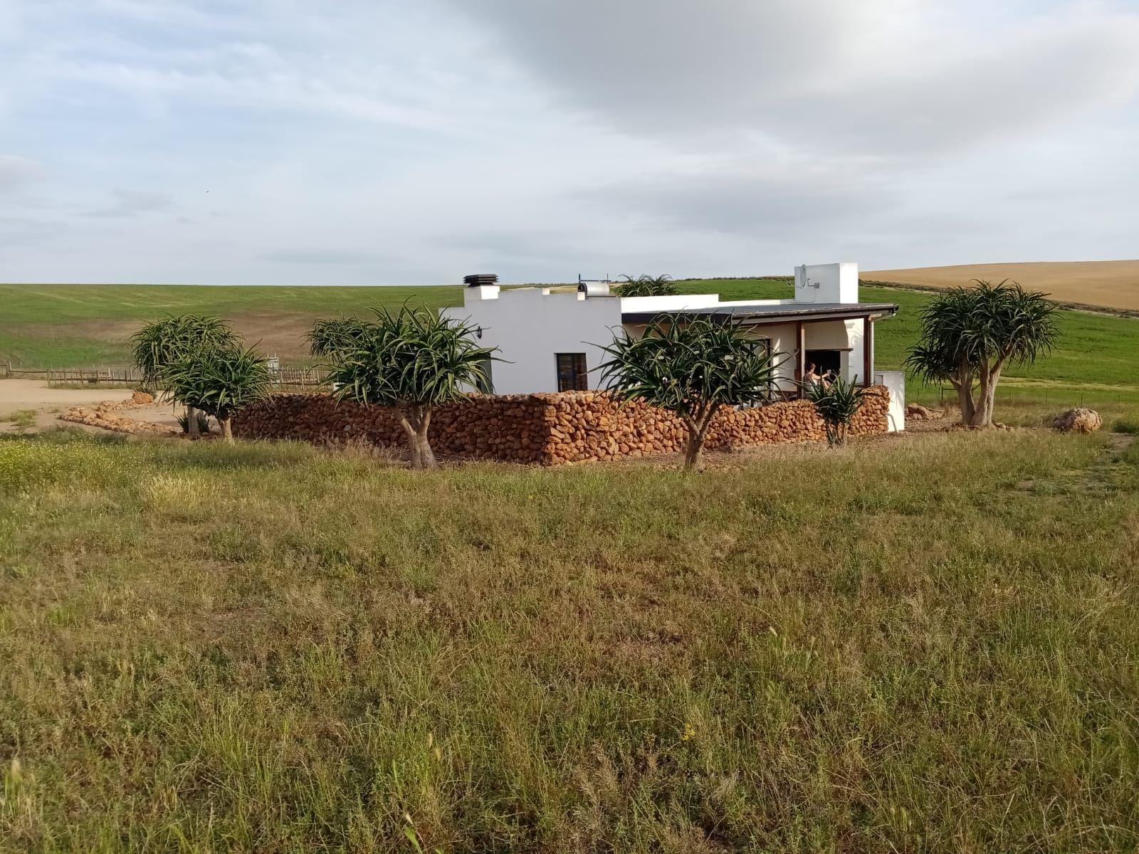 The Aloe Cottage | Accommodation Swellendam