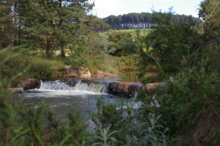Zwakala River Retreat | Haenertsburg Accommodation