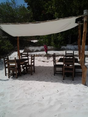Enjoy your lunch on the beach