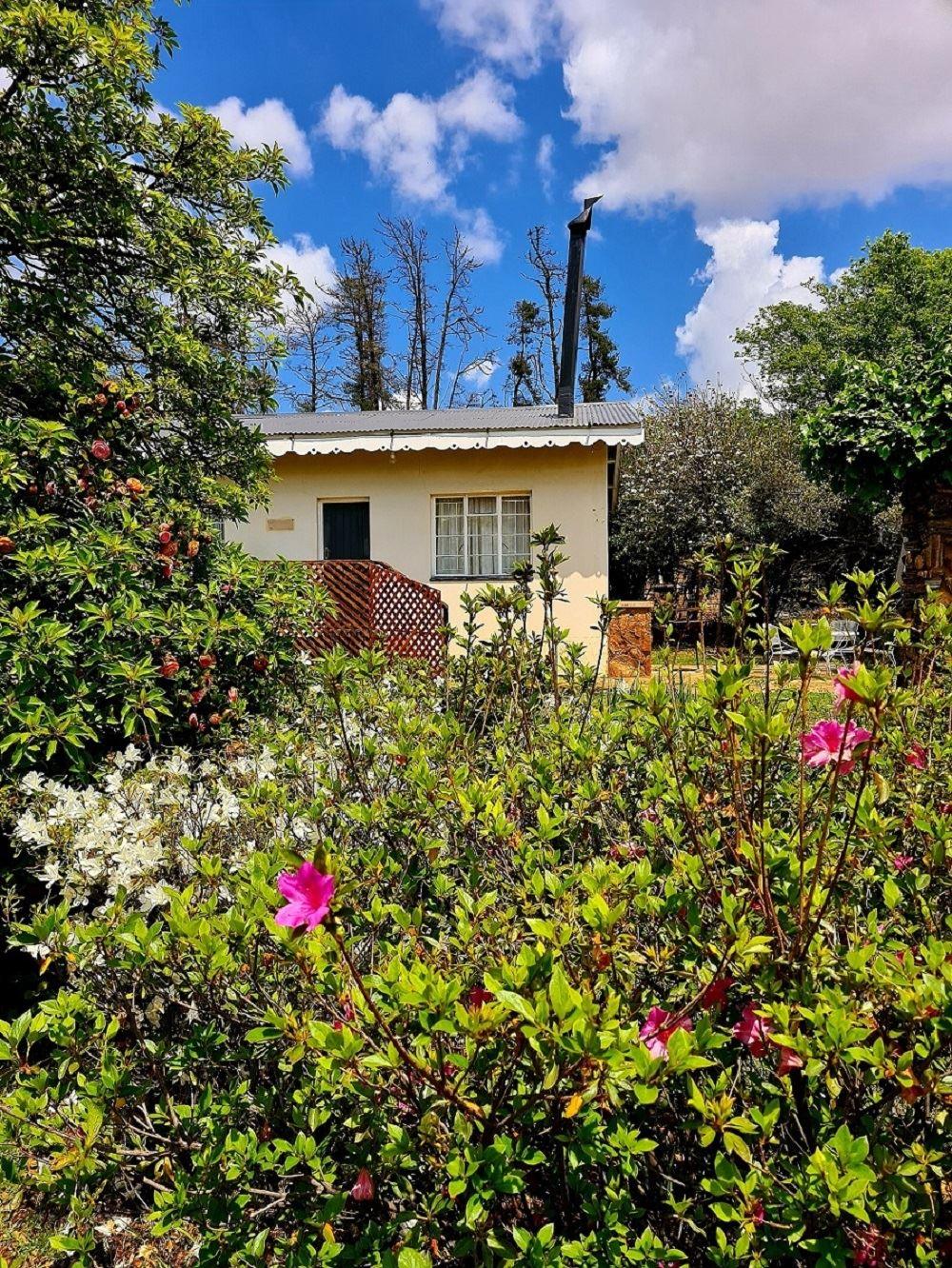 O'Grady's Accommodation | Accommodation Dullstroom