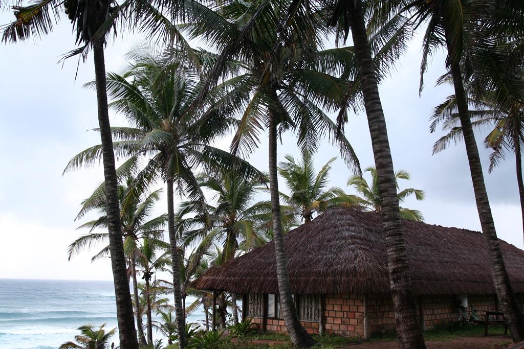 Palm Resort | Accommodation Inhambane