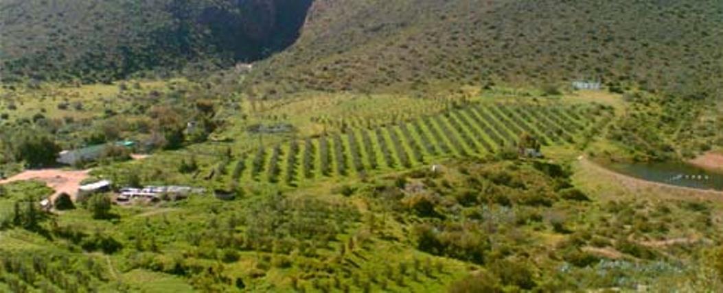 Buffelshoek Farm Cottage | Accommodation Van Wyksdorp