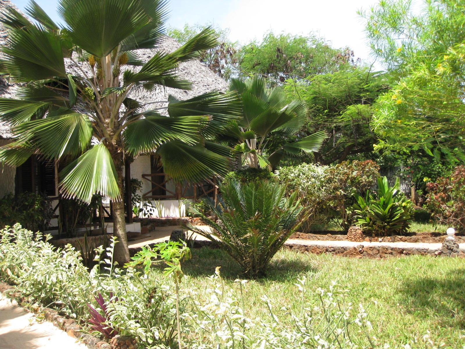 Tanzanite Beach Resort | Accommodation Nungwi