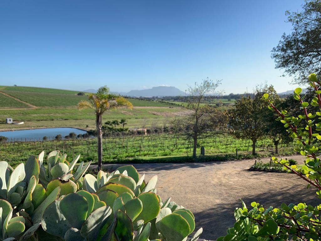 Groenvlei Guest Farm | Stellenbosch Specials