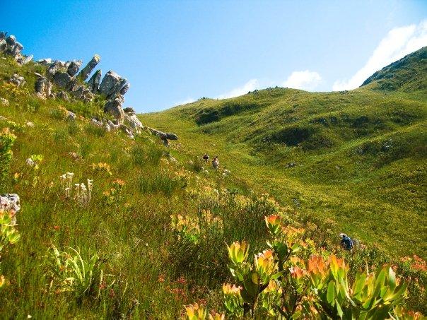 Kogelberg Nature Reserve Travel Guide