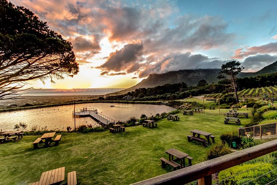 Cape Point Vineyards Estate Self-catering