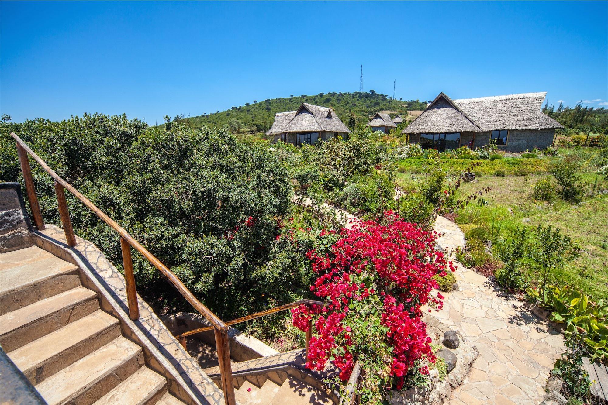 Rhino Watch Lodge and Tented Camp | Nyeri Accommodation