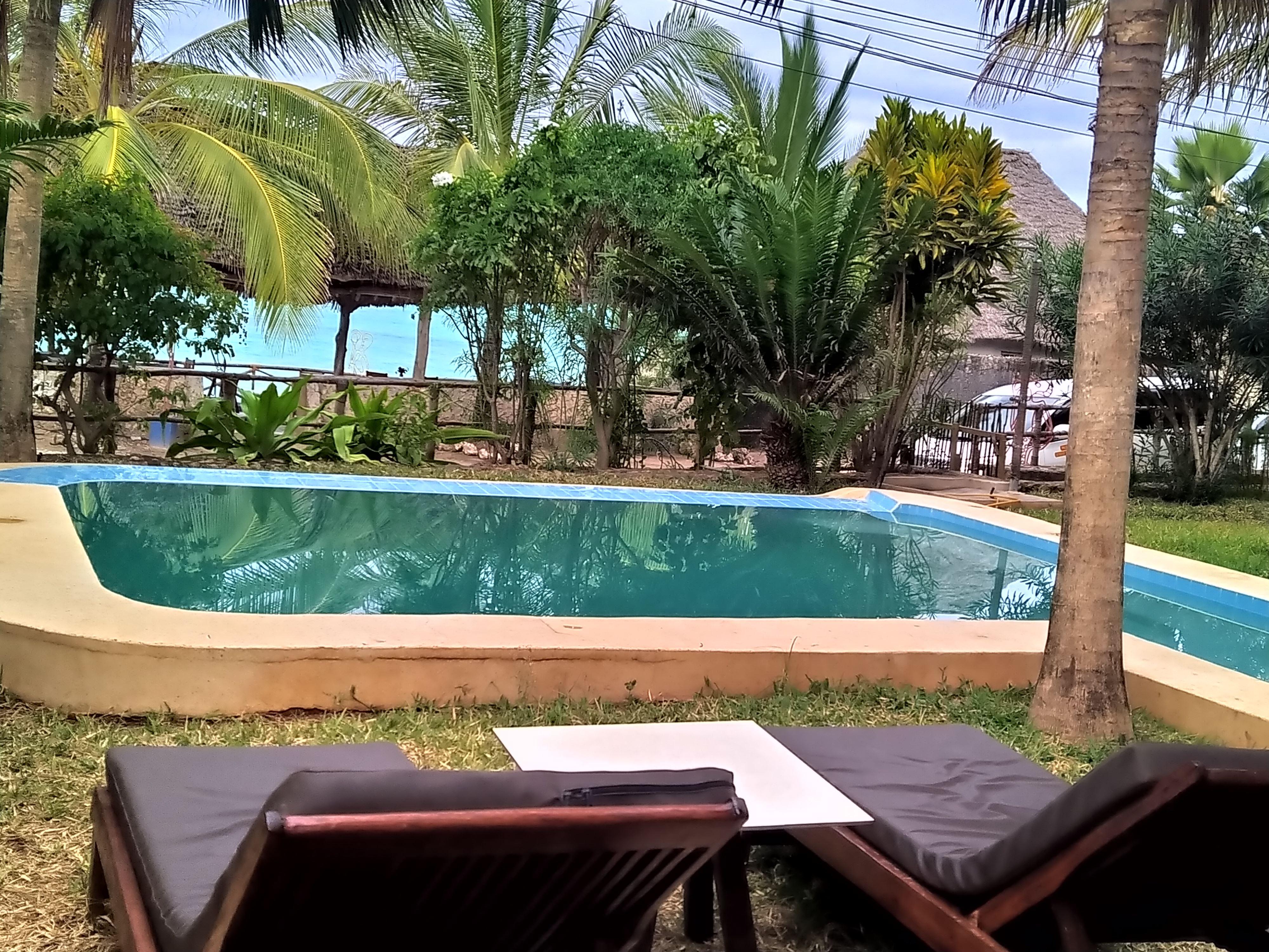 Swimming pool and garden 