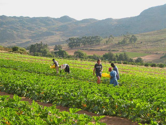 Goedverwacht Accommodation
