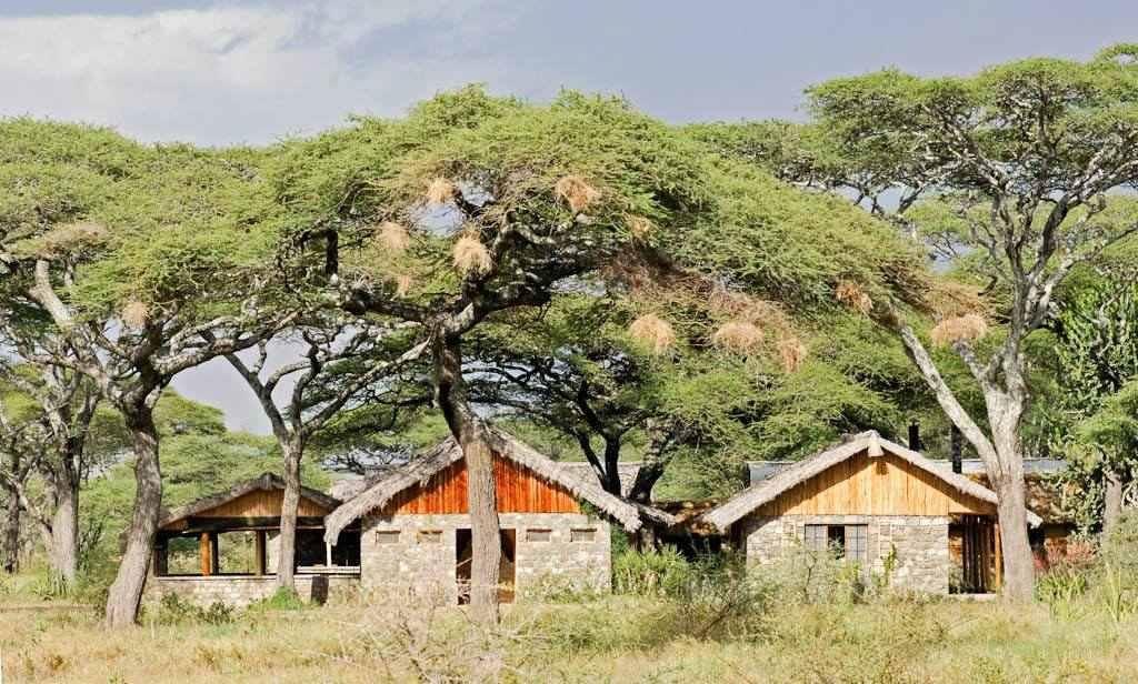 Ndutu Safari Lodge | Accommodation Ngorongoro Crater Conservancy