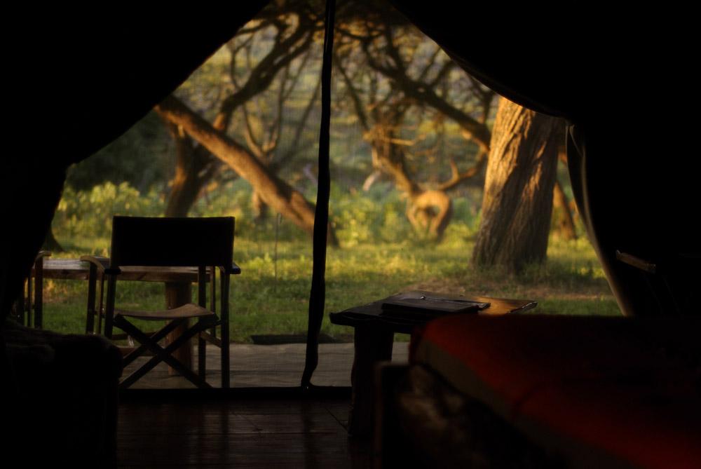 Lemala Ngorongoro | Ngorongoro Crater Conservancy Accommodation