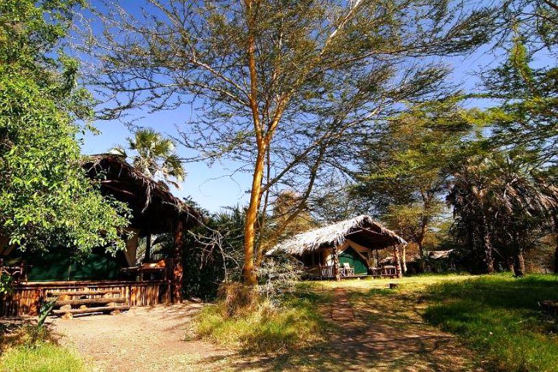 The Anasa Safari Collection - Kisima Ngeda Tented Camp | Lake Eyasi Accommodation