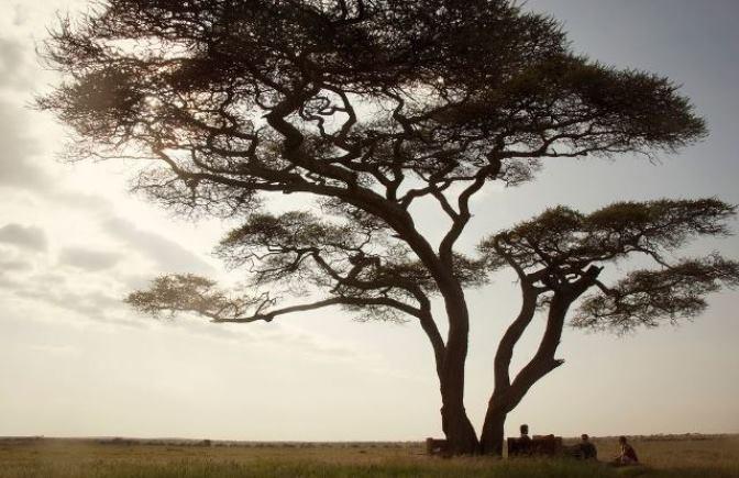 Nomad Tanzania - Nduara Loliondo | Accommodation Serengeti National Park