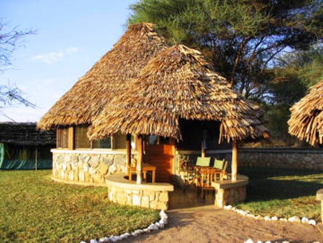 tarangire safari lodge tentes