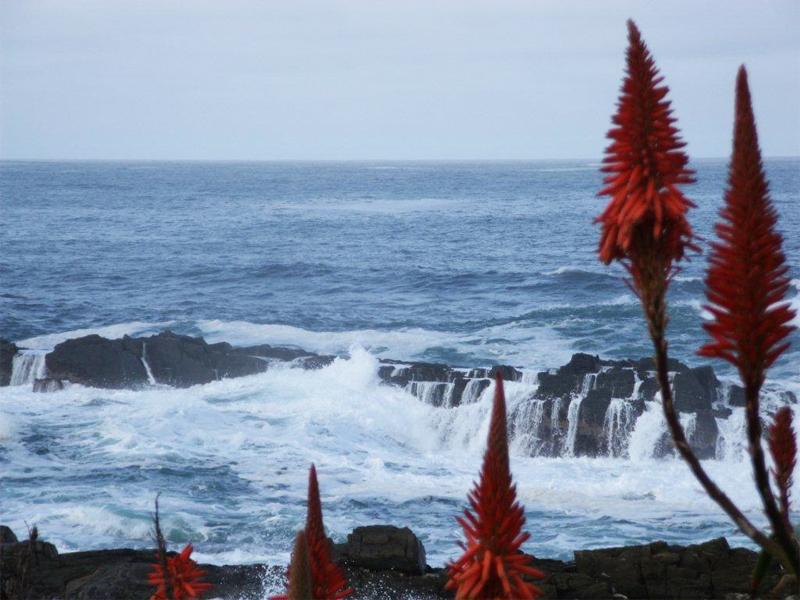 Storms River Mouth Accommodation