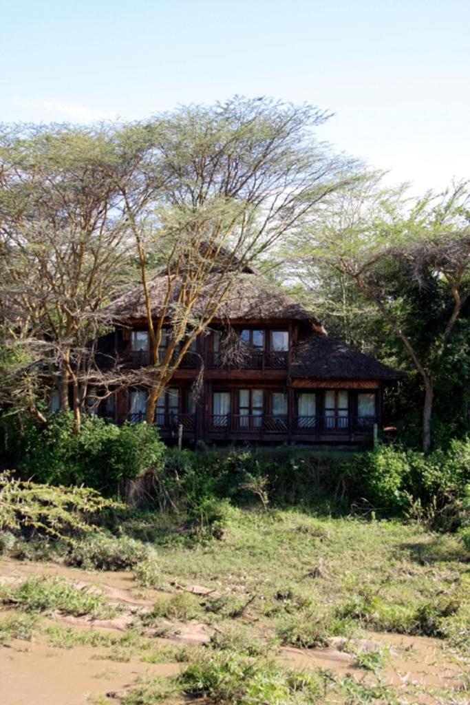 Mara Simba Lodge | Maasai Mara National Reserve Accommodation