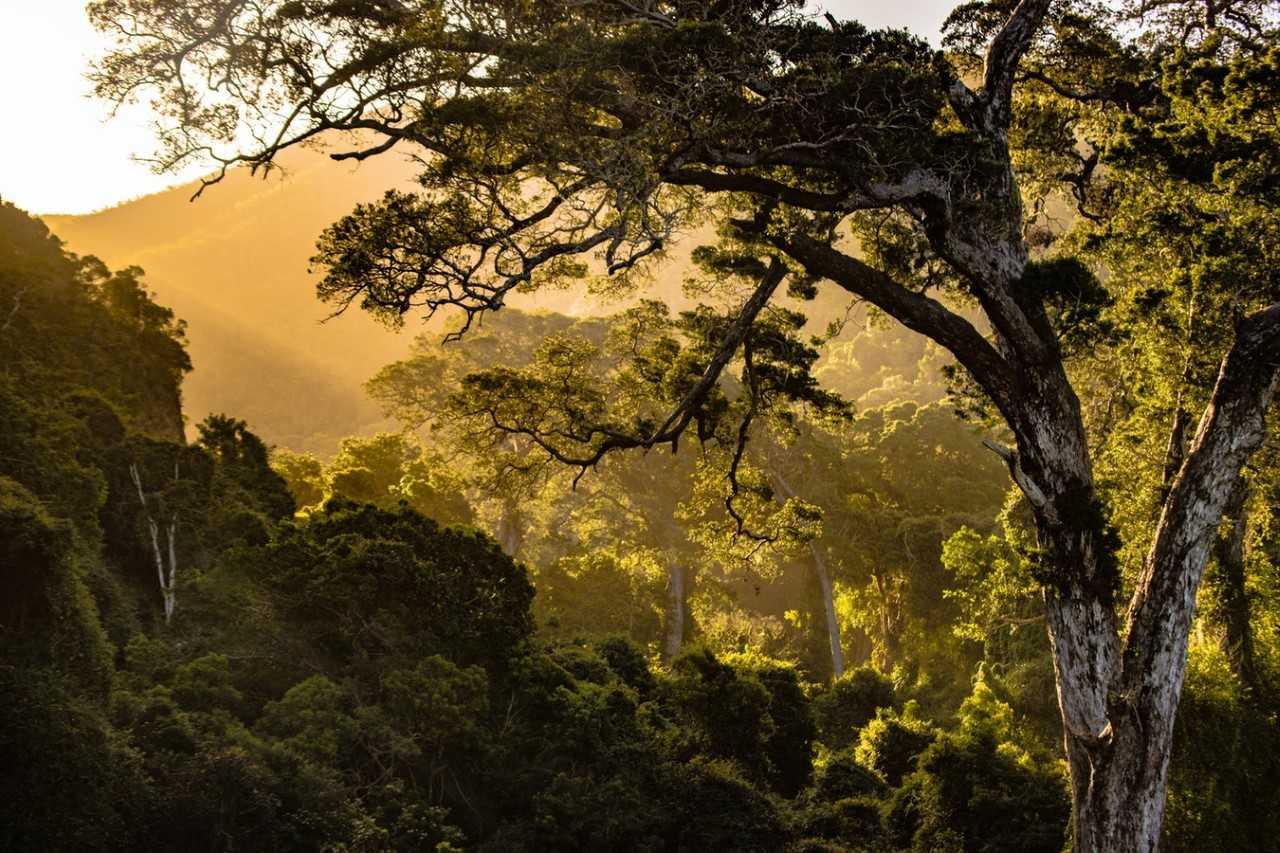 Mabalingwe Nature Reserve