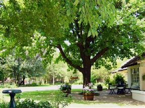 Treehaven Waterfowl Trust Travel Guide