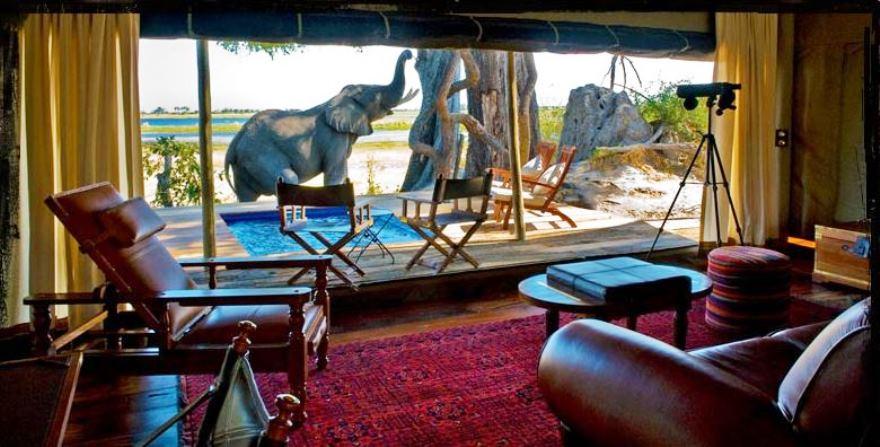 Zarafa Camp | Accommodation Selinda