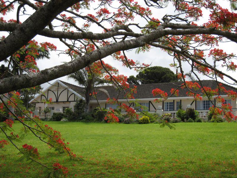 Blarney House B & B | Beacon Bay Accommodation