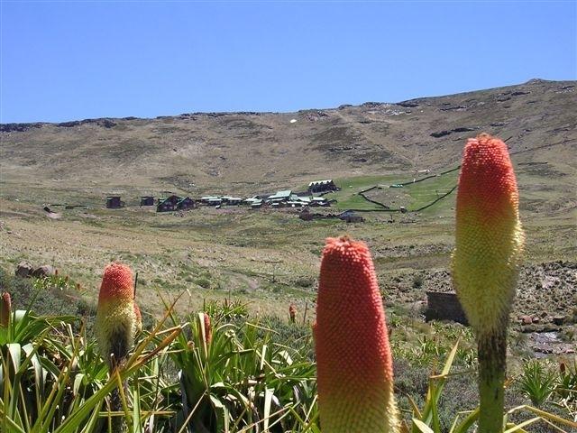 Tiffindell Ski and Alpine Resort | Accommodation Barkly East