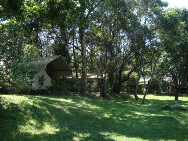 Mara River Camp | Accommodation Oloololo Escarpment