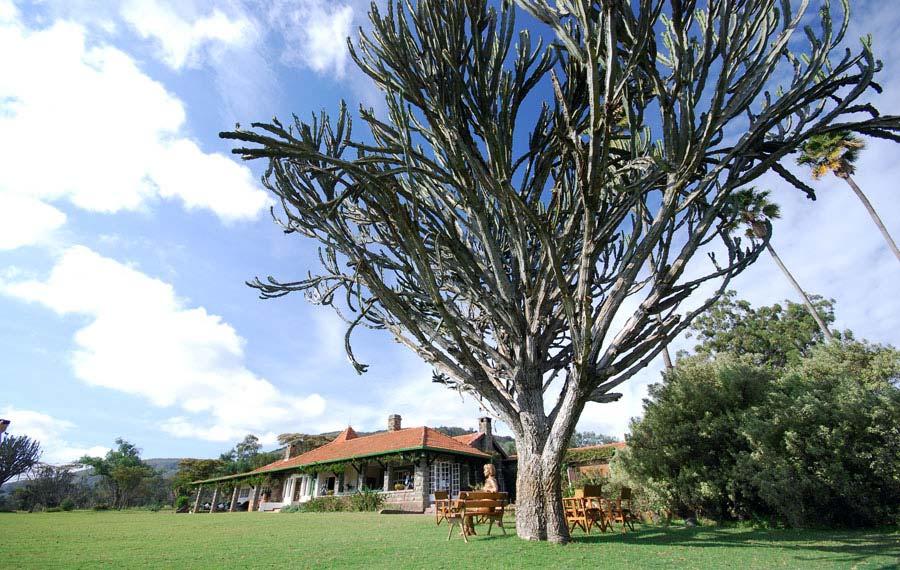 Kongoni Lodge | Lodges Lake Naivasha