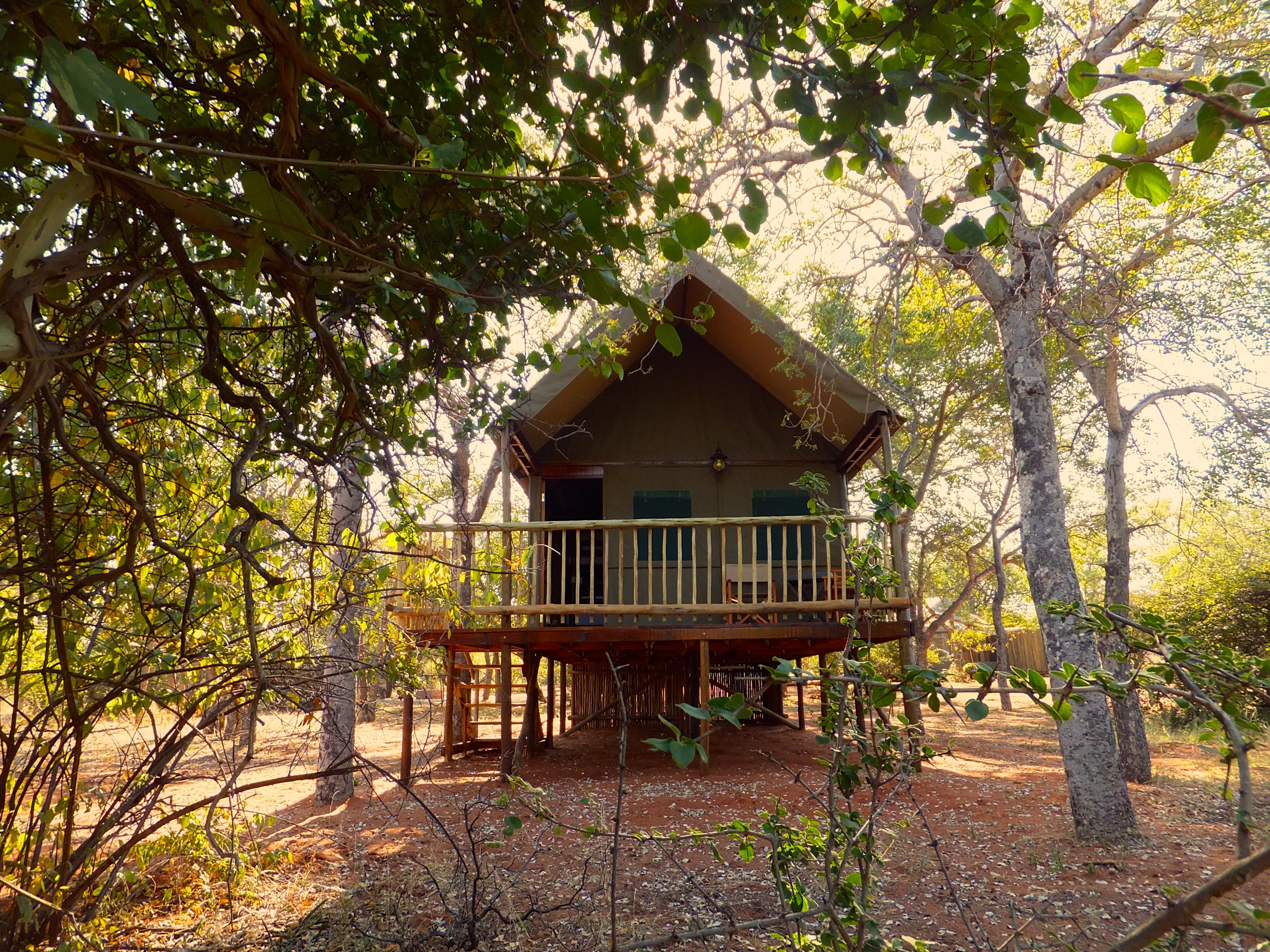 Iphofolo | Vivo Accommodation