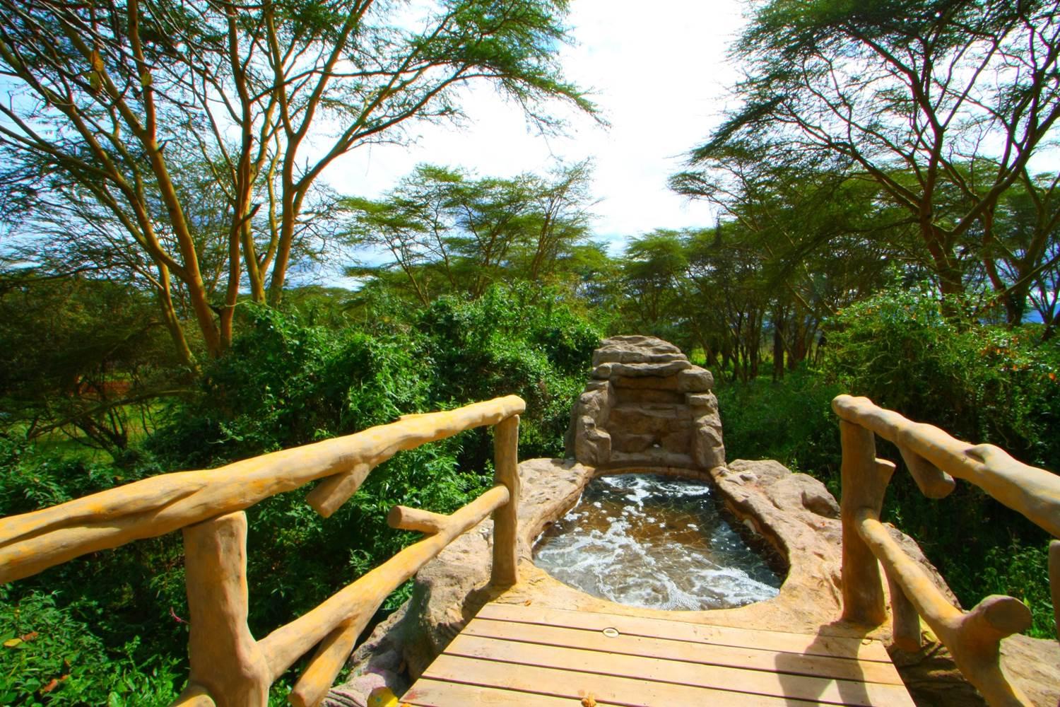 Wileli House Wildlife Sanctuary