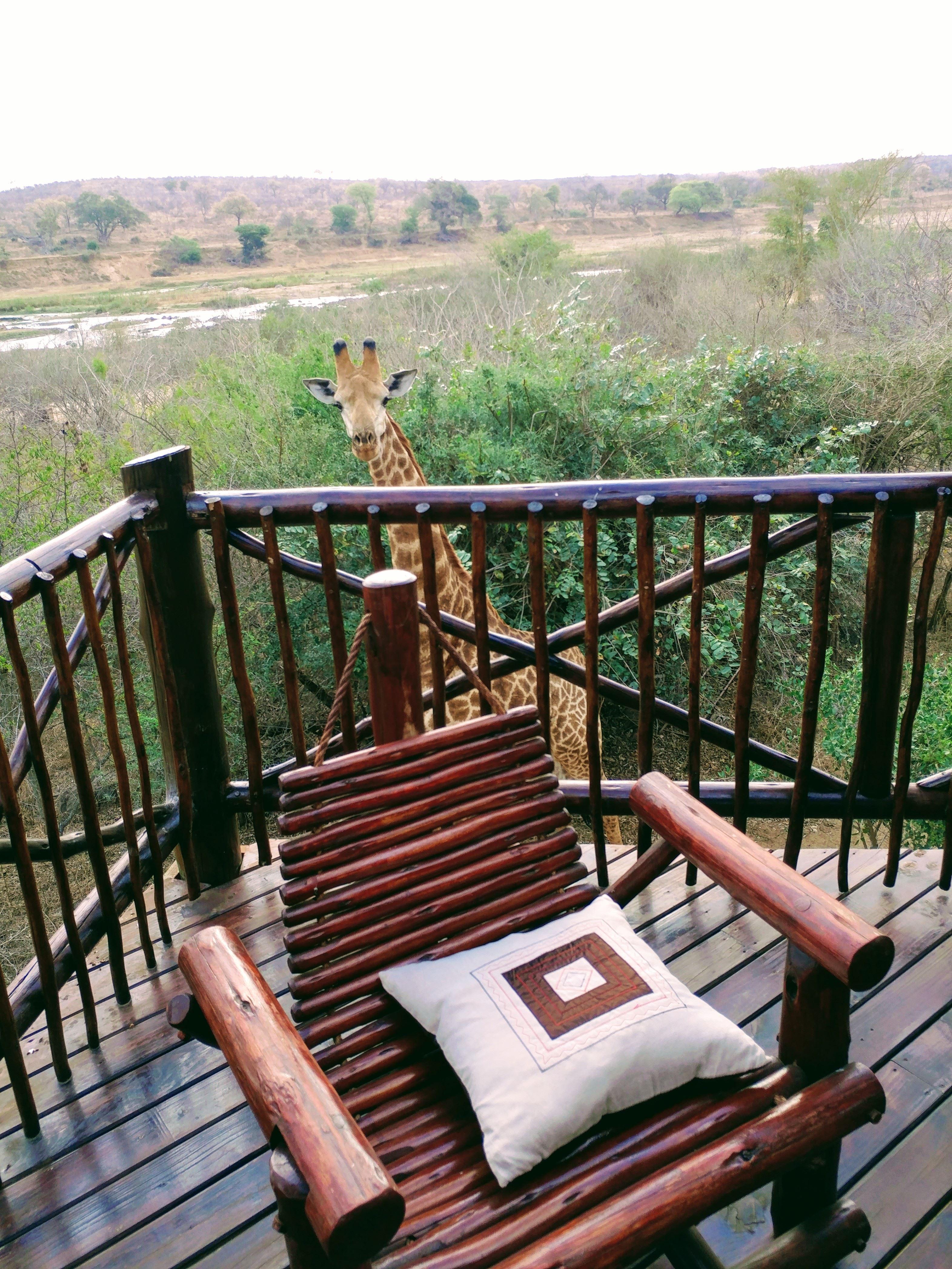 Majuli River Lodge | Marloth Park Self-catering
