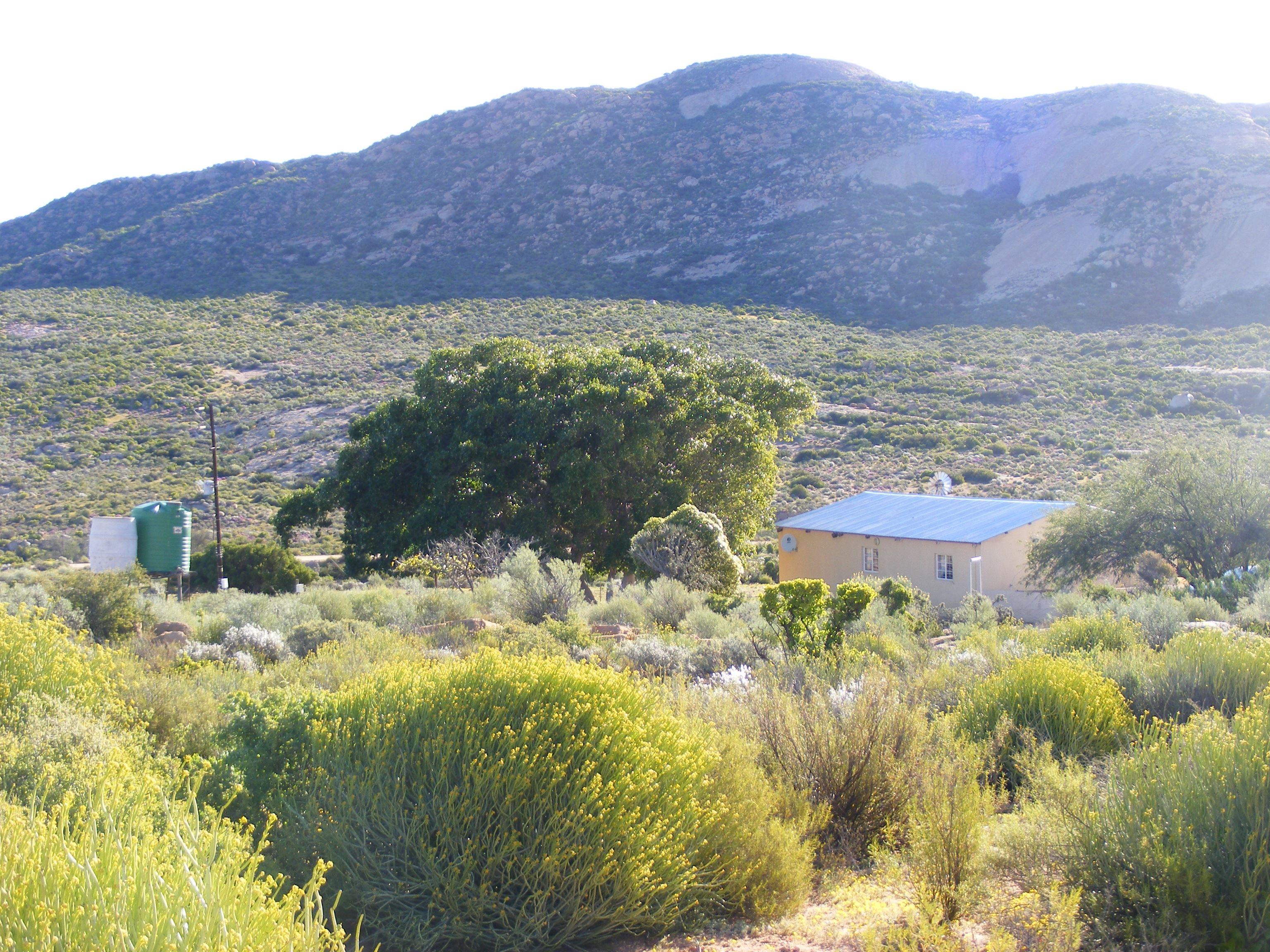 Morewag Guest Farm | Springbok Accommodation