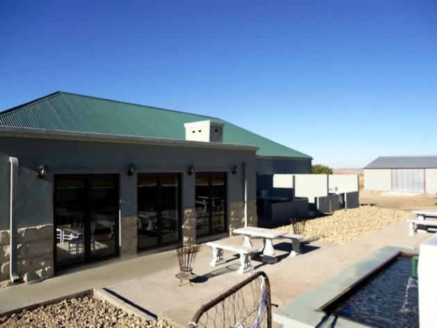 Patio and water feature 