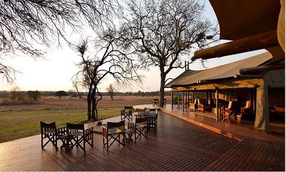 Plains Camp - Rhino Walking Safaris | South Kruger Park Accommodation