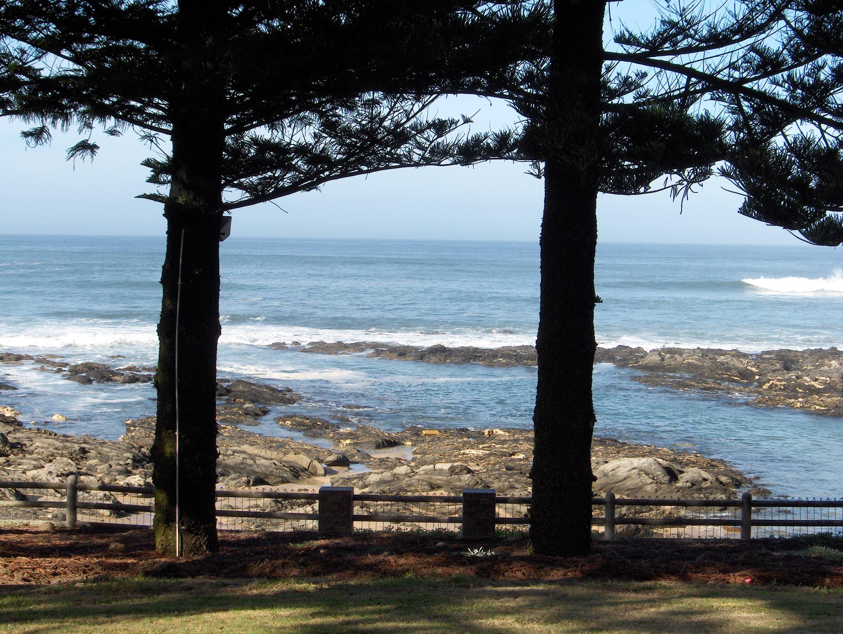 Sea Otters Lodge