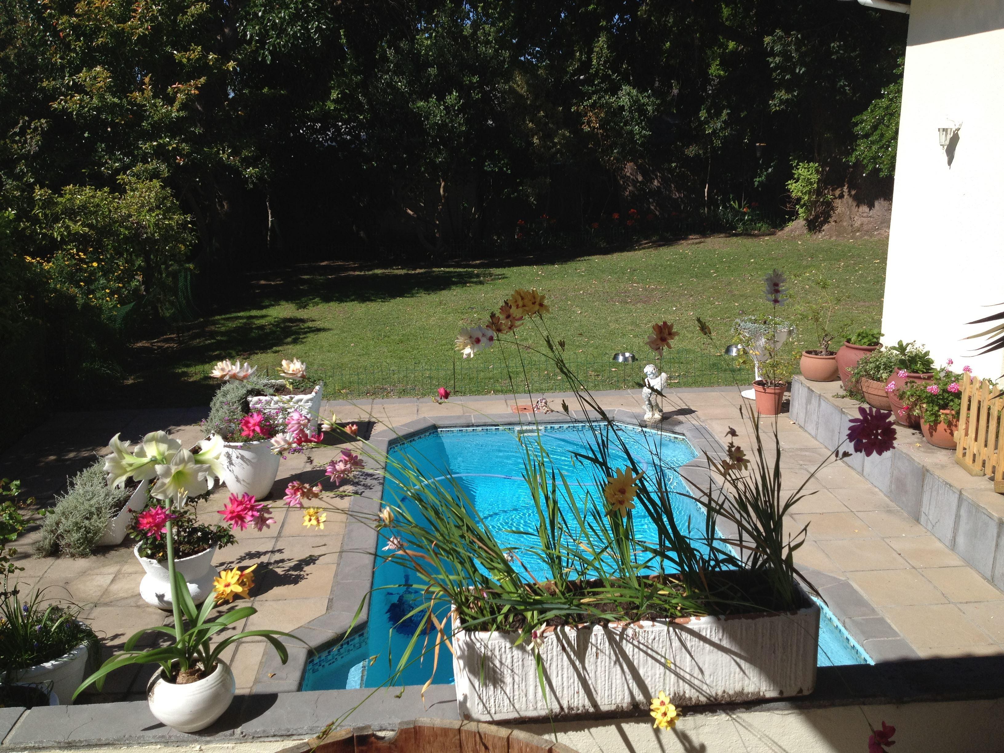 Midron | Bishopscourt Accommodation
