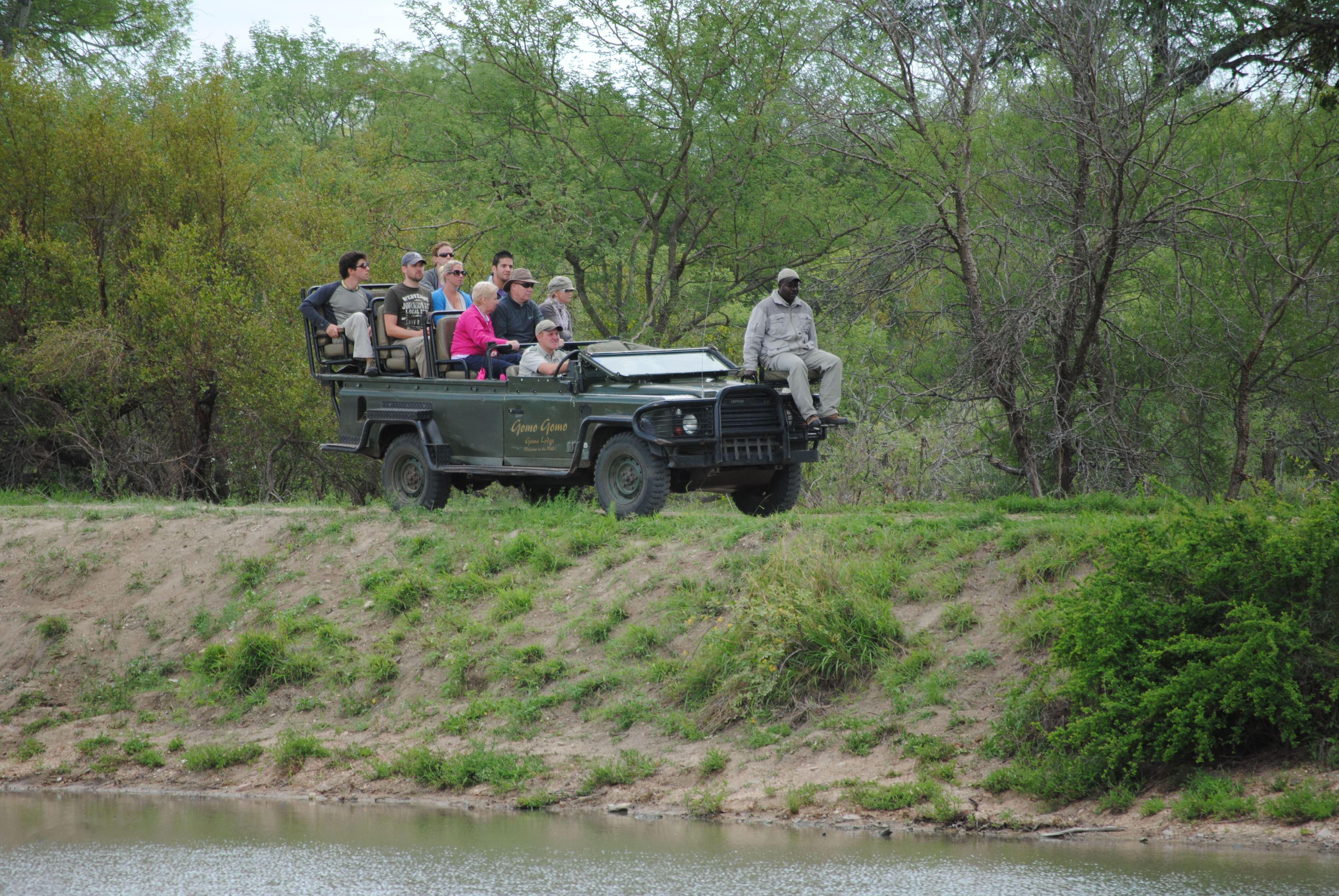 Gomo Gomo Game Lodge | South Kruger Park Accommodation