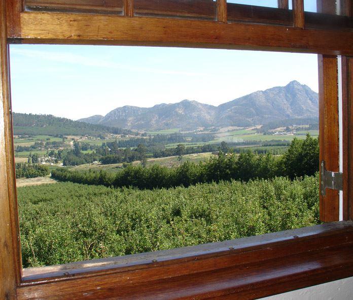 Misty Orchards | Accommodation Outeniqua Nature Reserve