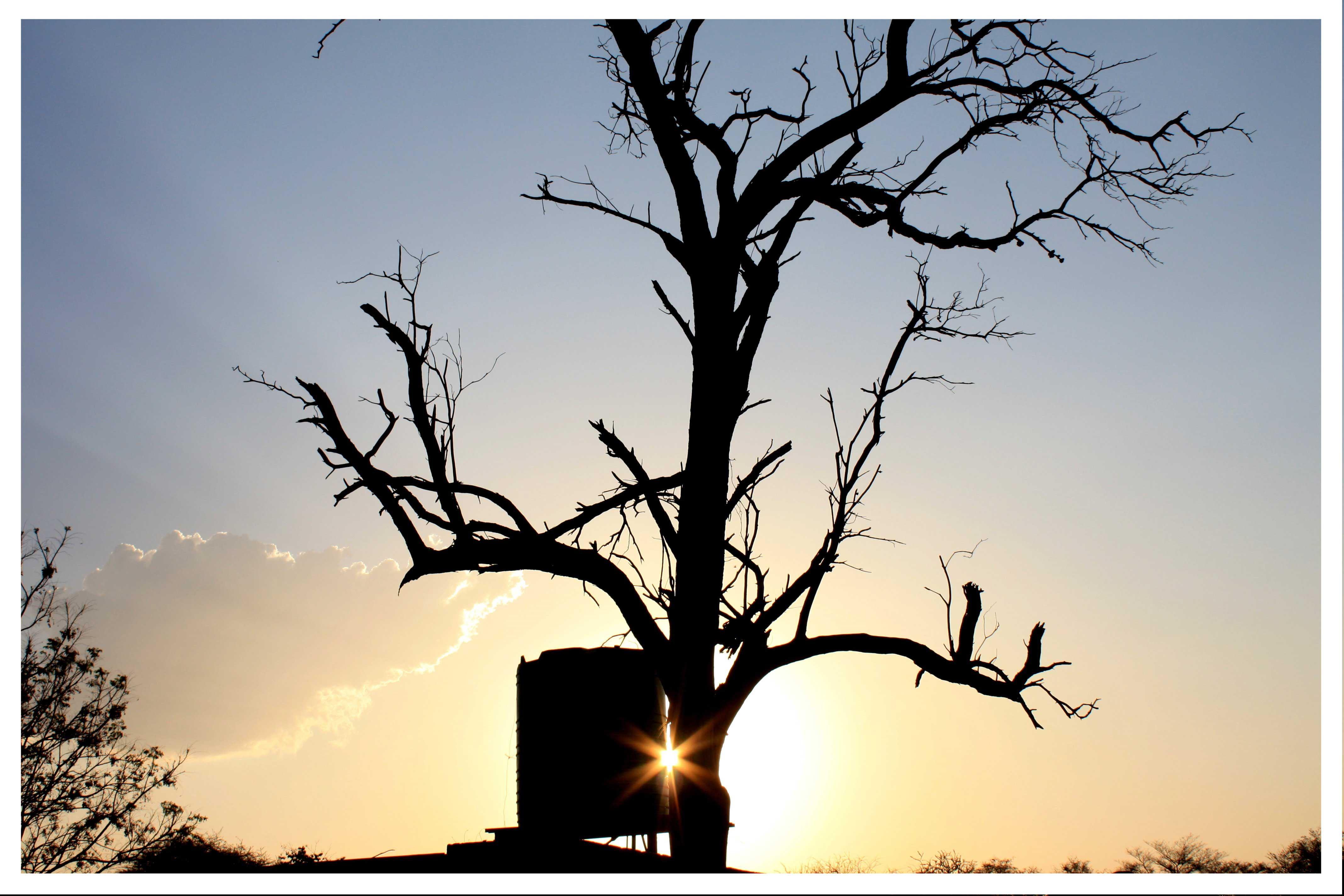 Abuelita Hostel | Accommodation Lephalale (Ellisras)