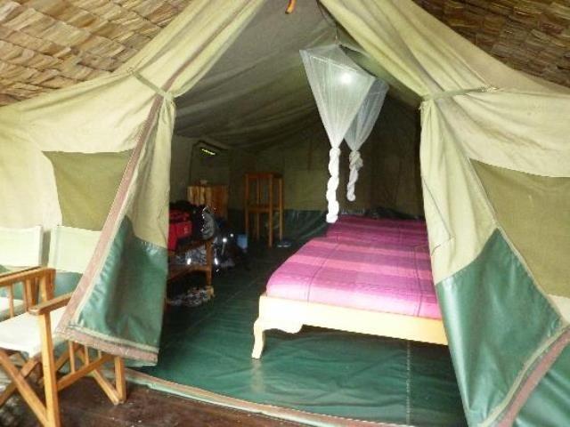 Kitandara Bwindi Tented Camp | Accommodation Bwindi Impenetrable National Park