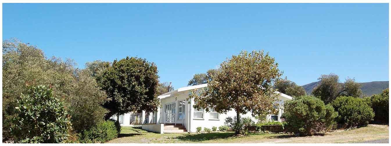 Pashasha Beach House | Hermanus Specials