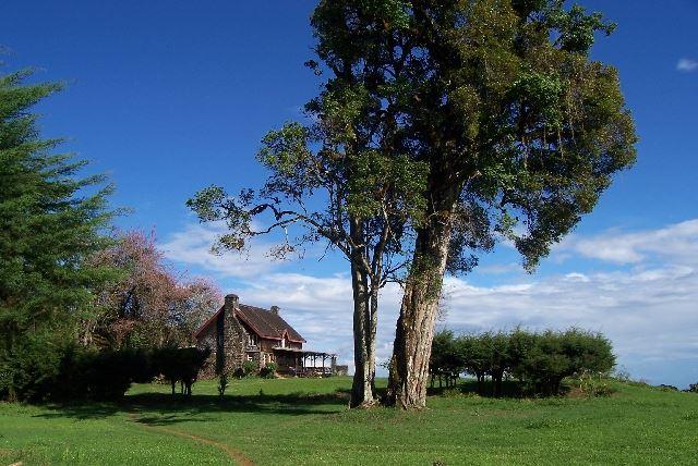 Castle Forest Lodge | Mount Kenya Self-catering