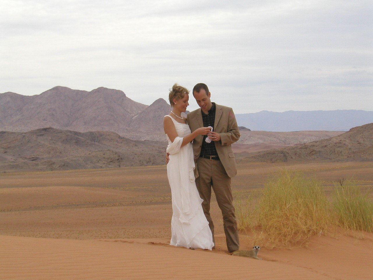 Rostock Ritz Desert Lodge Secure Your Holiday, SelfCatering, or Bed